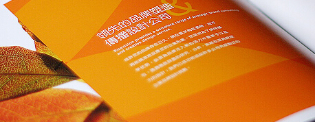 企業(yè)VI設(shè)計(jì)公司面臨的挑戰(zhàn)和優(yōu)勢