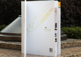 杭州畫冊(cè)設(shè)計(jì)的主導(dǎo)趨勢(shì)