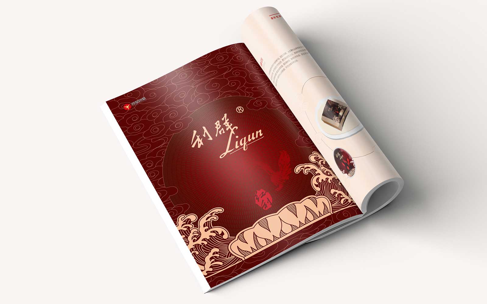 公司畫(huà)冊(cè)設(shè)計(jì)需要提供哪些資料？