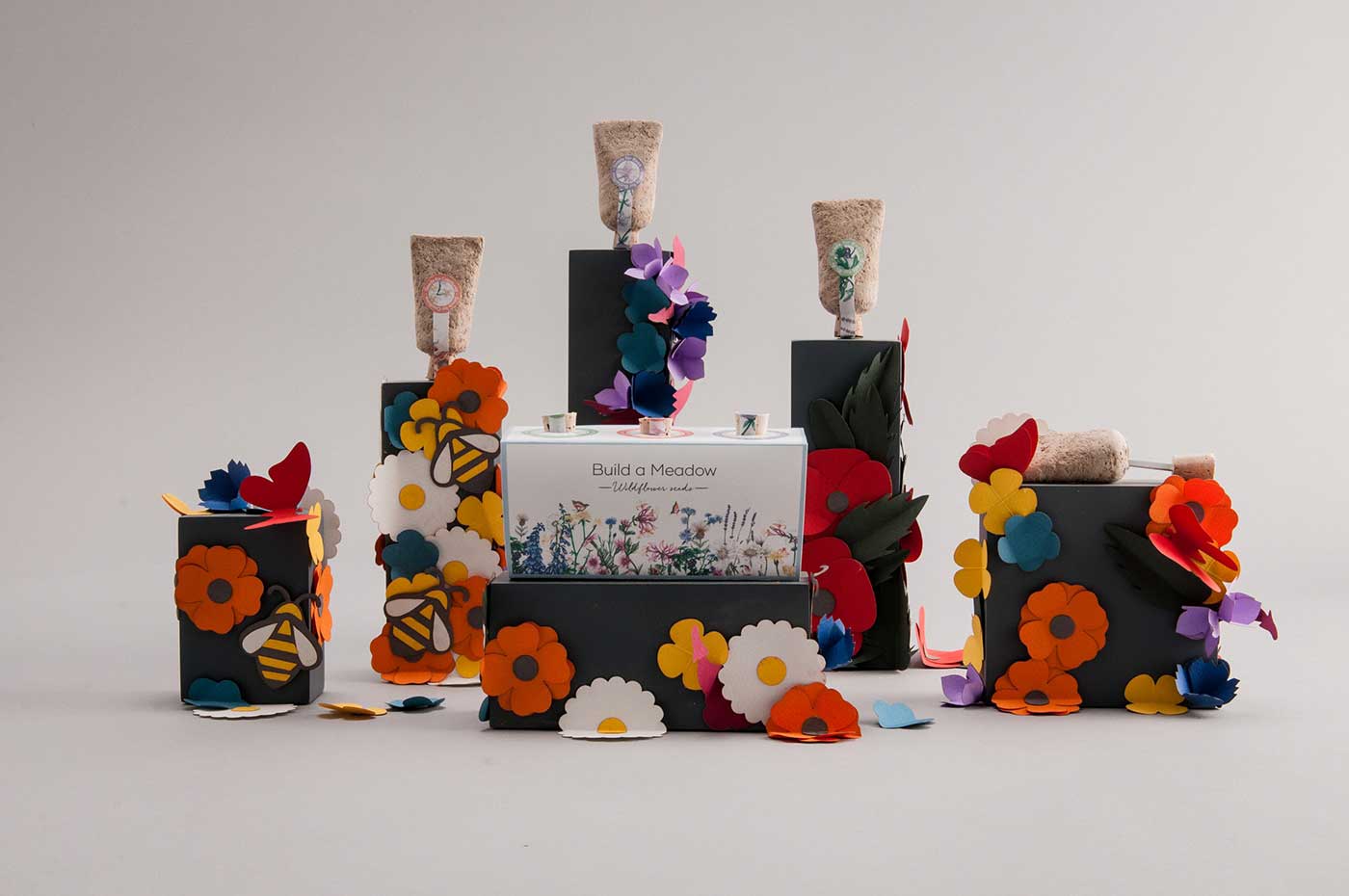 草甸種子創(chuàng)意包裝設(shè)計(jì) 草甸種子創(chuàng)意包裝設(shè)計(jì)