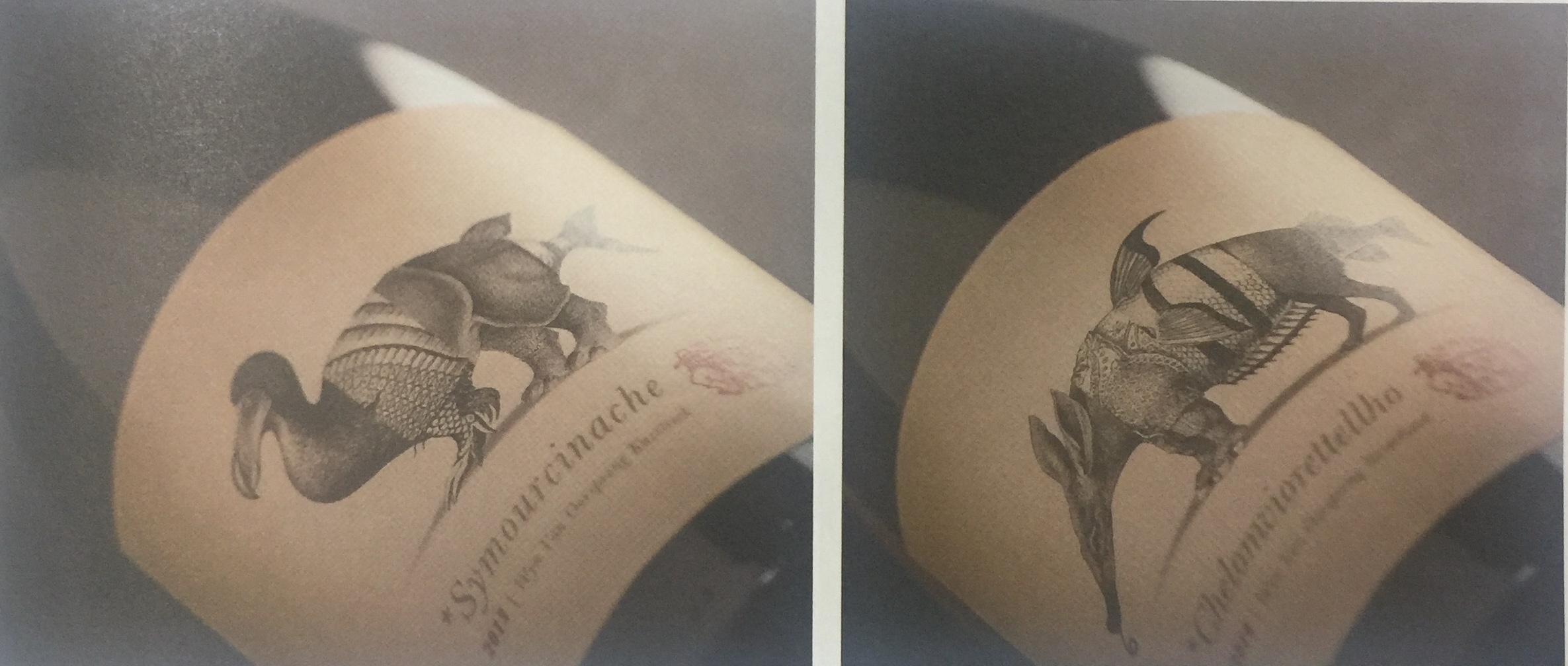 奇思妙想的紅酒包裝設(shè)計