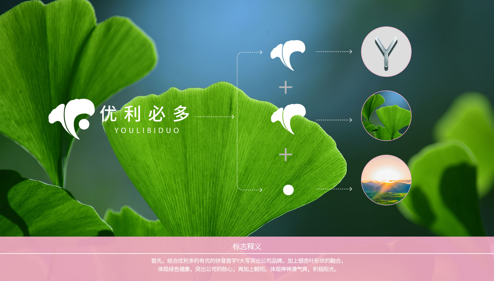 1562672851492596.jpg 金康醫(yī)藥品牌策劃設(shè)計(jì)一次性通過(guò)